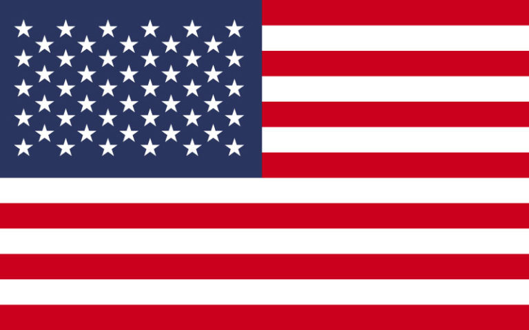 easyFly USA Flag